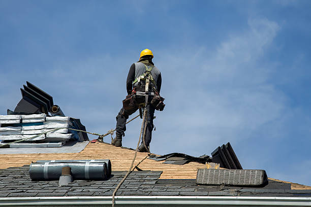 Professional Roof Repair technician working in Hamburg, PA